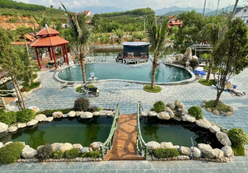 Thiết kế bể bơi lượn vòng mềm mại cho không gian sân vườn mở tại homestay Bắc Giang