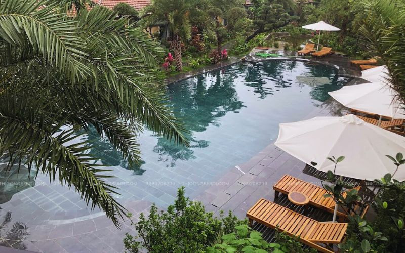 Tân Tiến điểm danh tại Thung Nham Ninh Bình với bể kinh doanh 120m2