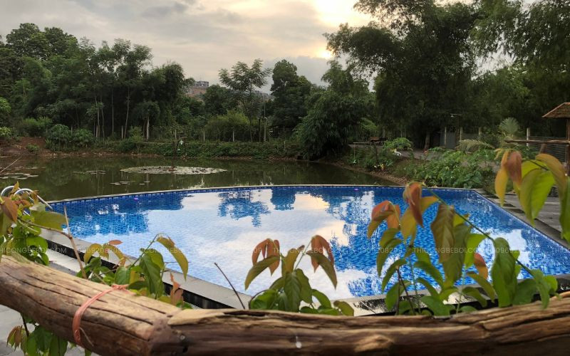 Khám phá bể bơi homestay Viet Retreat Hải An với thiết kế cánh quạt ấn tượng