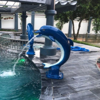 Cá heo phun nước bể bơi